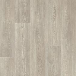 Линолеум полукоммерческий STARS COLUMBIAN OAK 960D 5 м; IDEAL 